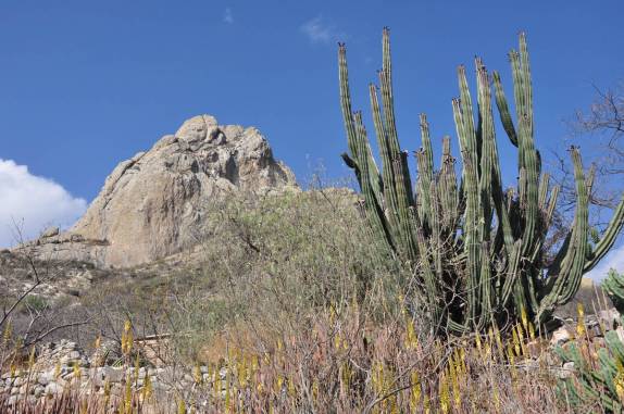 Vegetação semidesértica ao redor da Peña de Bernal, no México
